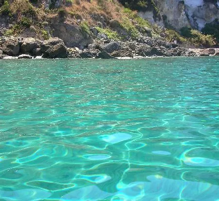 Orchidea Ponza