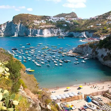 Appartement Orchidea Ponza