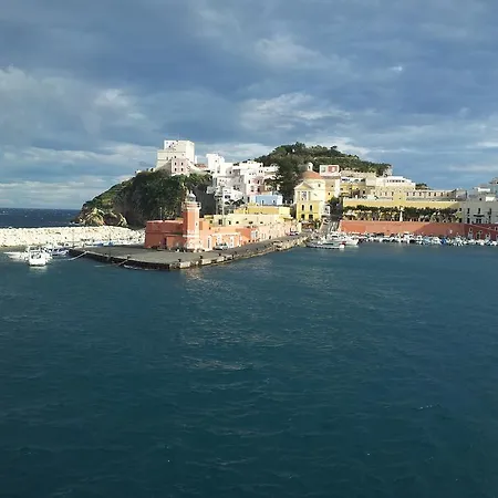 Orchidea Ponza