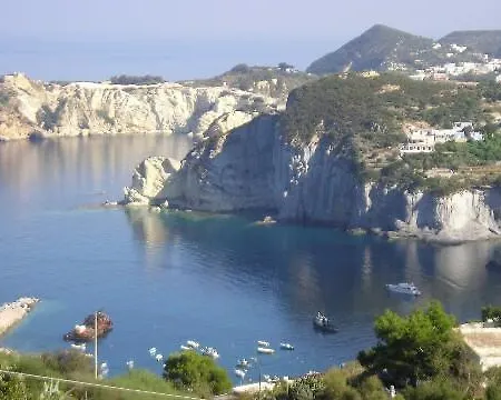 Orchidea * Ponza